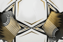 Select Royale v25 NFHS Soccer Ball