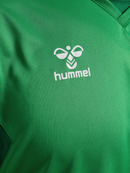 hummel Authentic 24 PL LS Jersey (adult)