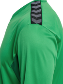 hummel Authentic 24 PL LS Jersey (adult)-Soccer Command