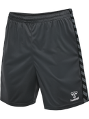 hummel Authentic 24 PL Shorts (adult)-Soccer Command