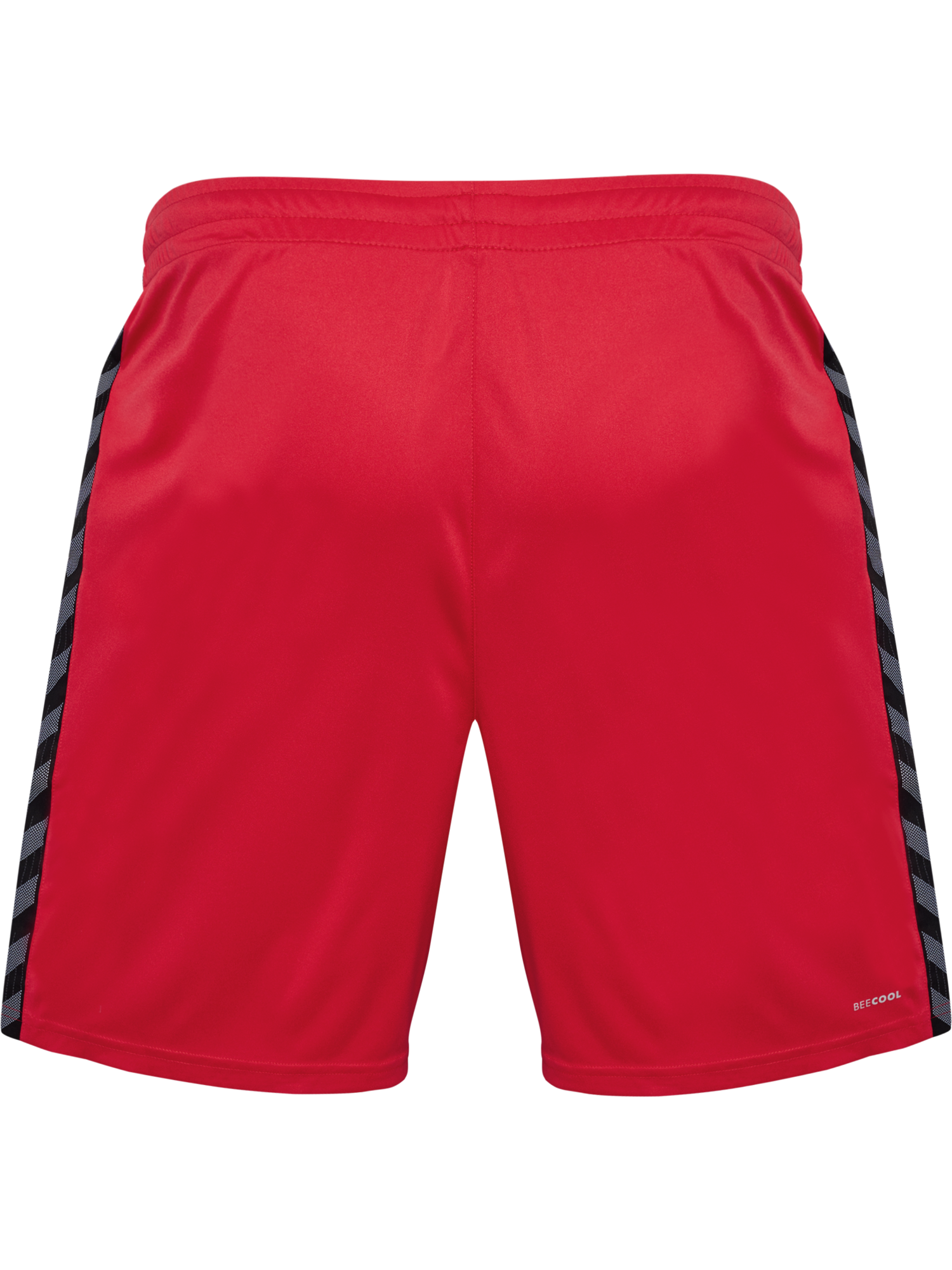 hummel Authentic 24 PL Shorts (adult)-Soccer Command