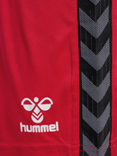 hummel Authentic 24 PL Shorts (adult)