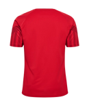 2022 hummel Denmark World Cup Replica Home Jersey (adult)-Soccer Command
