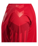 2022 hummel Denmark World Cup Replica Home Jersey (adult)-Soccer Command