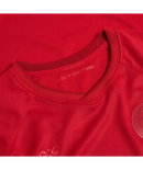 2022 hummel Denmark World Cup Replica Home Jersey (adult)-Soccer Command