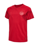 2022 hummel Denmark World Cup Replica Home Jersey (youth)-Soccer Command
