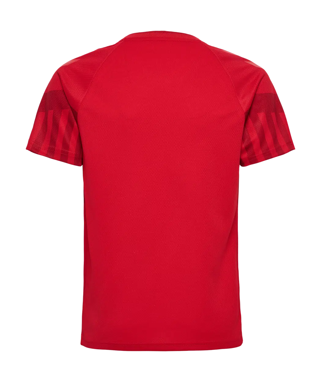 2022 hummel Denmark World Cup Replica Home Jersey (youth)-Soccer Command