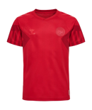 2022 hummel Denmark World Cup Replica Home Jersey (youth)-Soccer Command