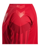 2022 hummel Denmark World Cup Replica Home L/S Jersey (adult)-Soccer Command