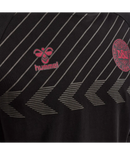 2022 hummel Denmark DBU Fan Tee L/S (black)-Soccer Command