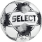 Select Numero 10 v25 Soccer Ball Bundle (12-pack with ball bag)