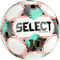 Select Numero 10 v25 Soccer Ball