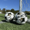 Select Royale v25 NFHS Soccer Ball