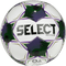 Select Royale v25 Soccer Ball
