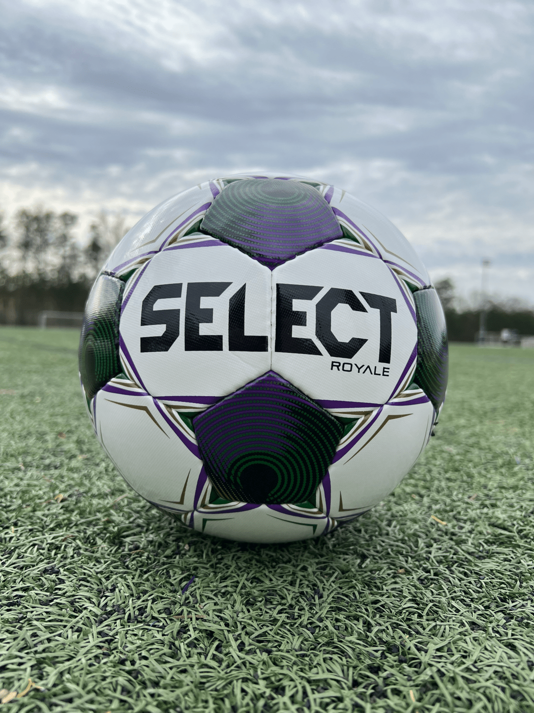 Paquete de balones de fútbol Select Royale v25 (paquete de 12 con bolsa para balones)