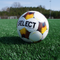 Select Viking DB v25 Soccer Ball Bundle (12-pack with bag)