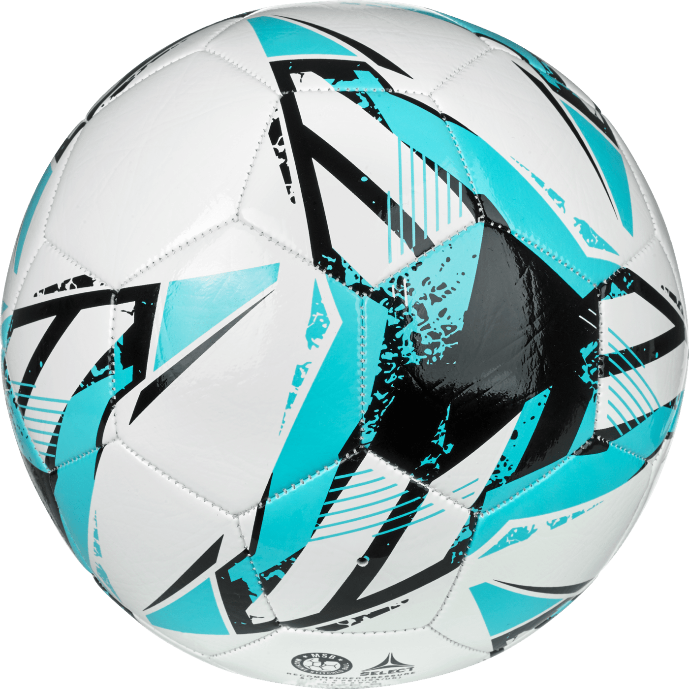 Select Classic v26 Soccer Ball