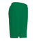 Joma Toledo II Soccer Shorts-Soccer Command