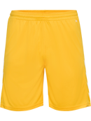 hummel Core XK Poly Shorts (adult)