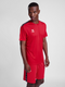 hummel Authentic 24 PL SS Jersey (adult)