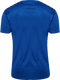 hummel Authentic 24 PL SS Jersey (adult)-Soccer Command