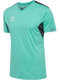 hummel Authentic 24 PL SS Jersey (adult)-Soccer Command
