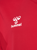 hummel Authentic 24 PL SS Jersey (youth)