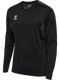 hummel Authentic 24 PL LS Jersey (adult)-Soccer Command