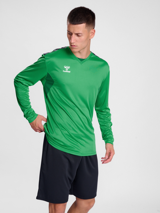 Camiseta hummel Authentic 24 PL LS (adulto)