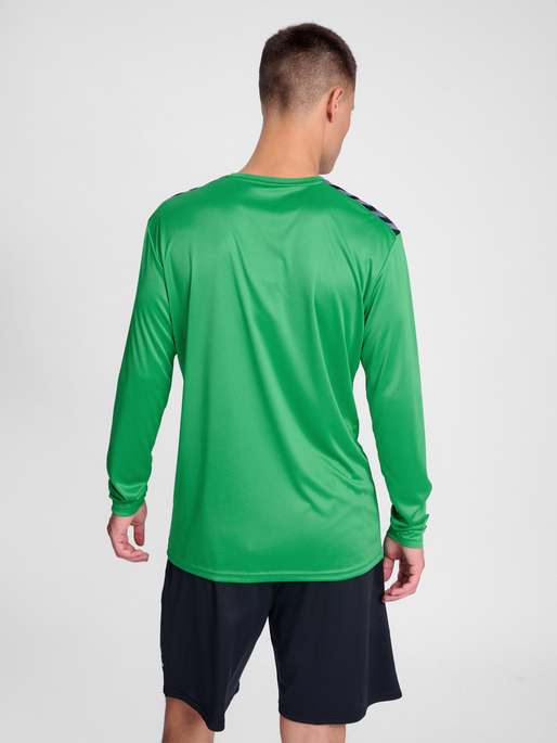 Camiseta hummel Authentic 24 PL LS (adulto)