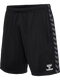 hummel Authentic 24 PL Shorts (adult)-Soccer Command