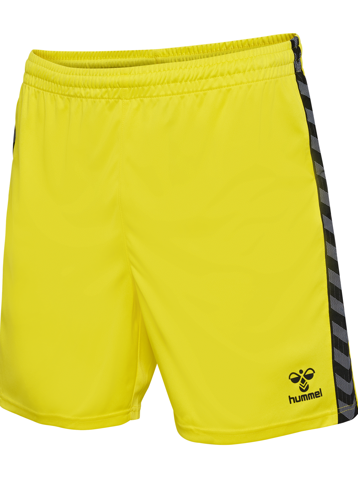 hummel Authentic 24 PL Shorts (adult)-Soccer Command
