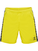 hummel Authentic 24 PL Shorts (adult)-Soccer Command
