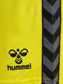 hummel Authentic 24 PL Shorts (adult)