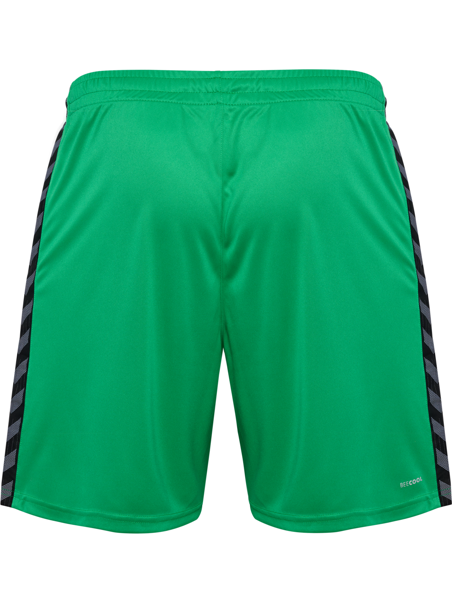 hummel Authentic 24 PL Shorts (adult)-Soccer Command