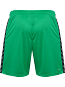 hummel Authentic 24 PL Shorts (adult)-Soccer Command