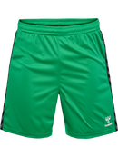 hummel Authentic 24 PL Shorts (adult)-Soccer Command