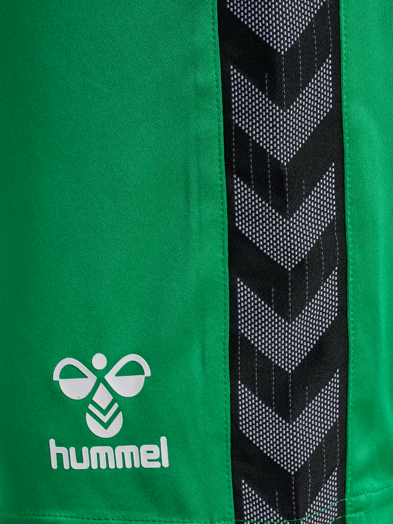 hummel Authentic 24 PL Shorts (adult)-Soccer Command
