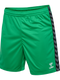 hummel Authentic 24 PL Shorts (adult)-Soccer Command