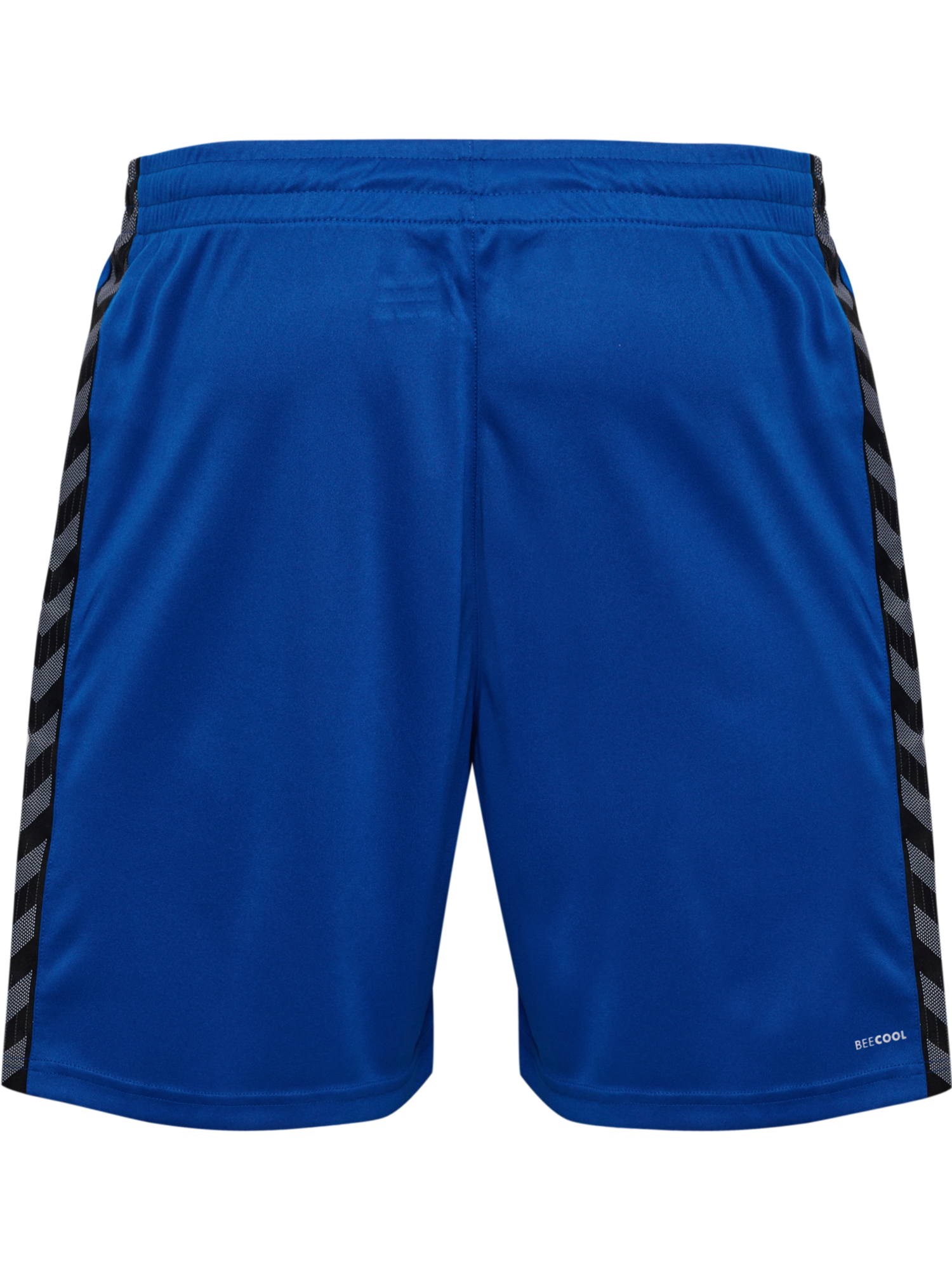 hummel Authentic 24 PL Shorts (adult)-Soccer Command