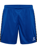 hummel Authentic 24 PL Shorts (adult)-Soccer Command