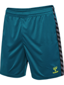 hummel Authentic 24 PL Shorts (adult)-Soccer Command