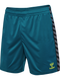 hummel Authentic 24 PL Shorts (adult)-Soccer Command
