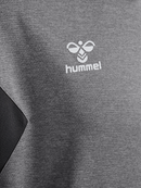 hummel Authentic 24 PL Hoodie