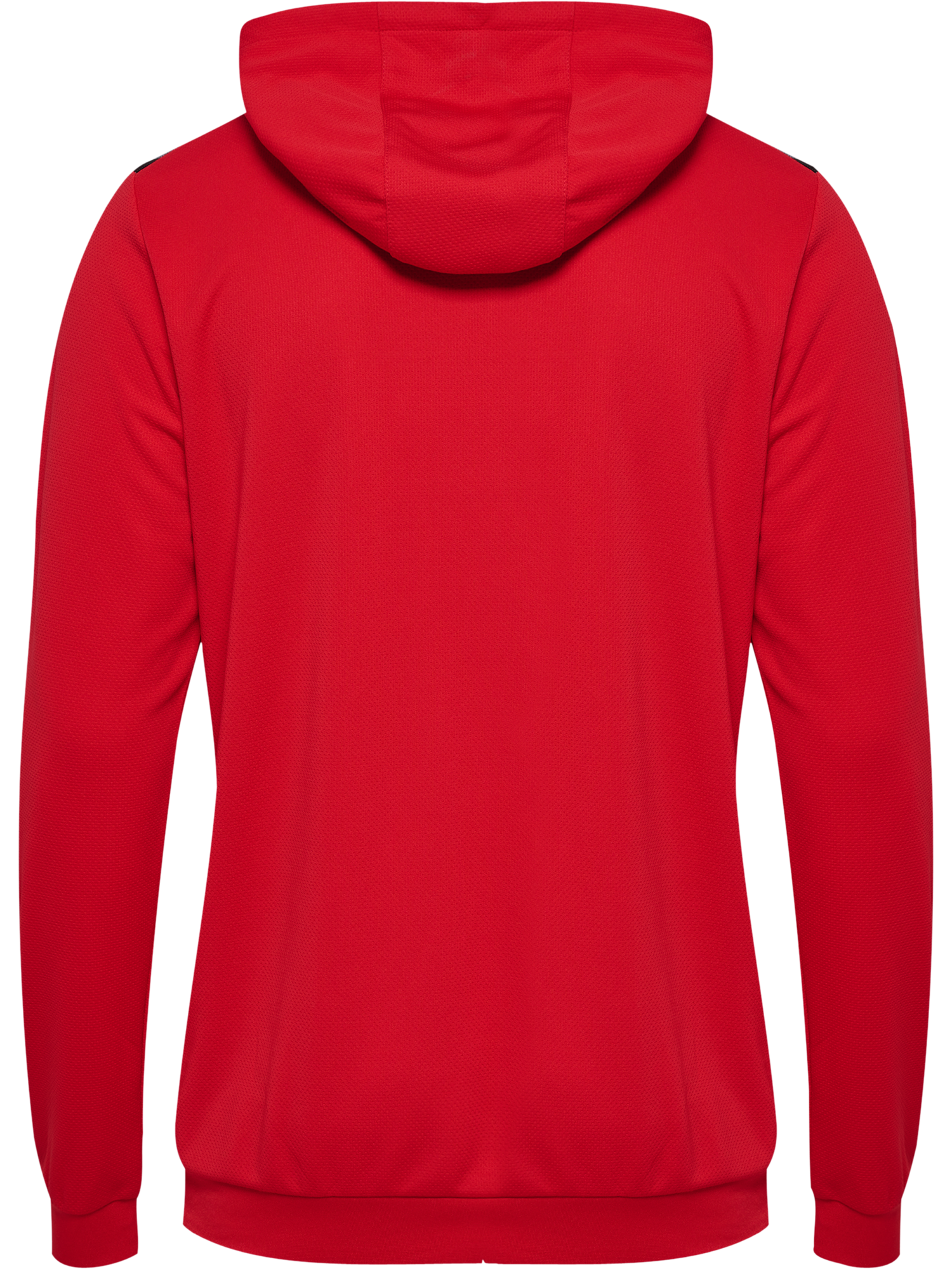 hummel Authentic 24 PL Hoodie-Soccer Command