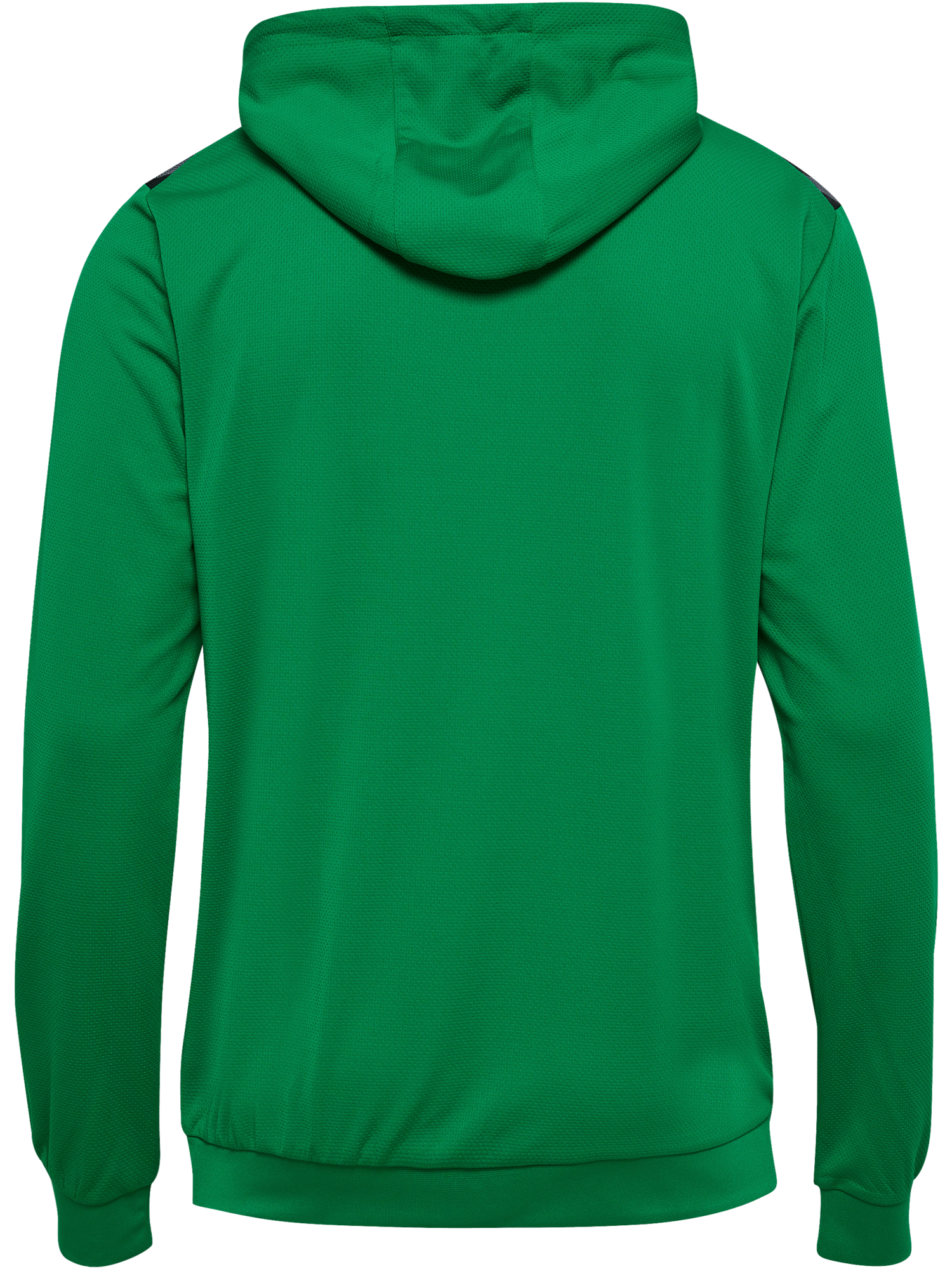 hummel Authentic 24 PL Hoodie-Soccer Command