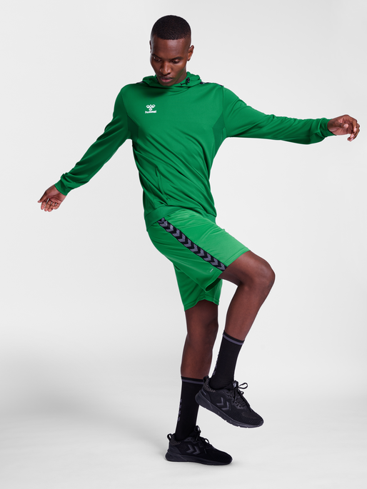 hummel Authentic 24 PL Hoodie