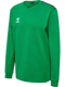 hummel Authentic 24 CO Training Sweat-Soccer Command