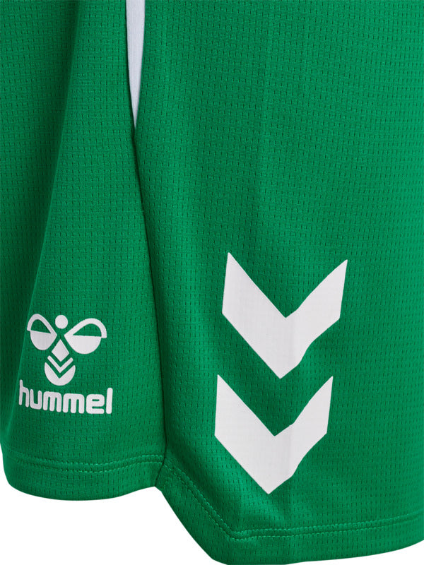 Pantalones cortos hummel Lead 2.0