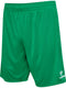 hummel Essential 24 Shorts